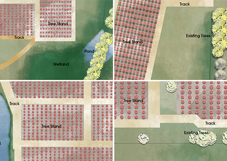 Public Open Space Design